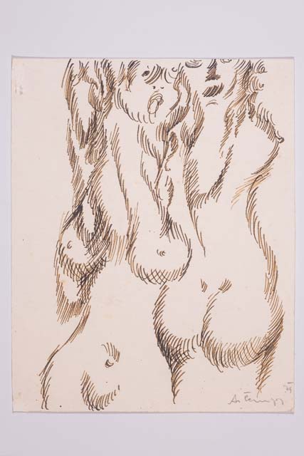 Disegni