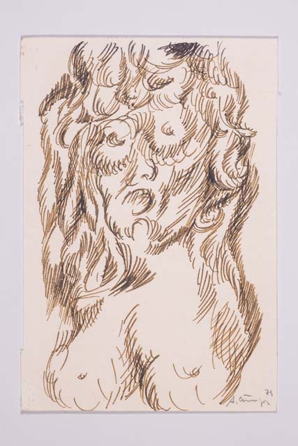 Disegni