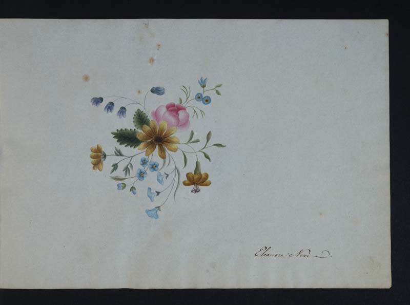 fiori