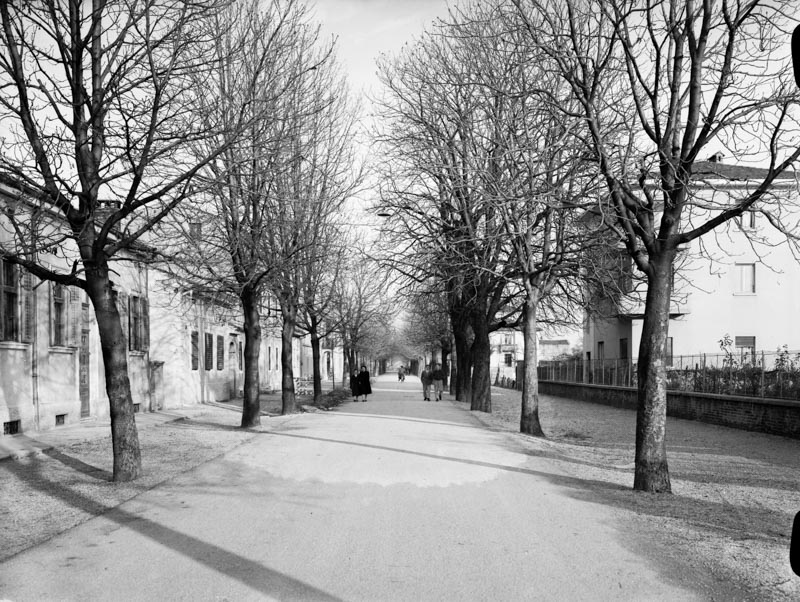 Cartoline da Gorizia