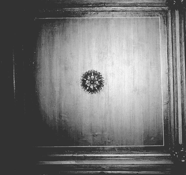 soffitto a cassettoni