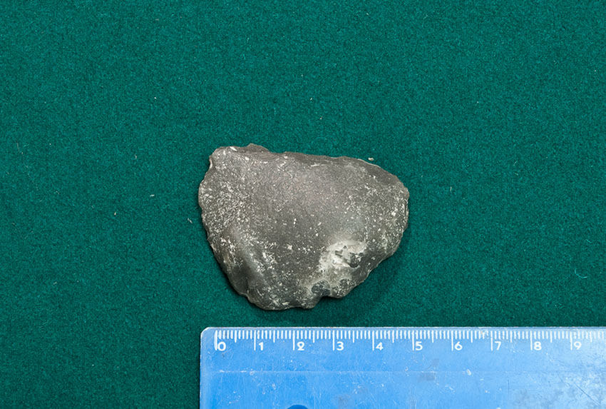 Reperti dalle grotte di Pradis