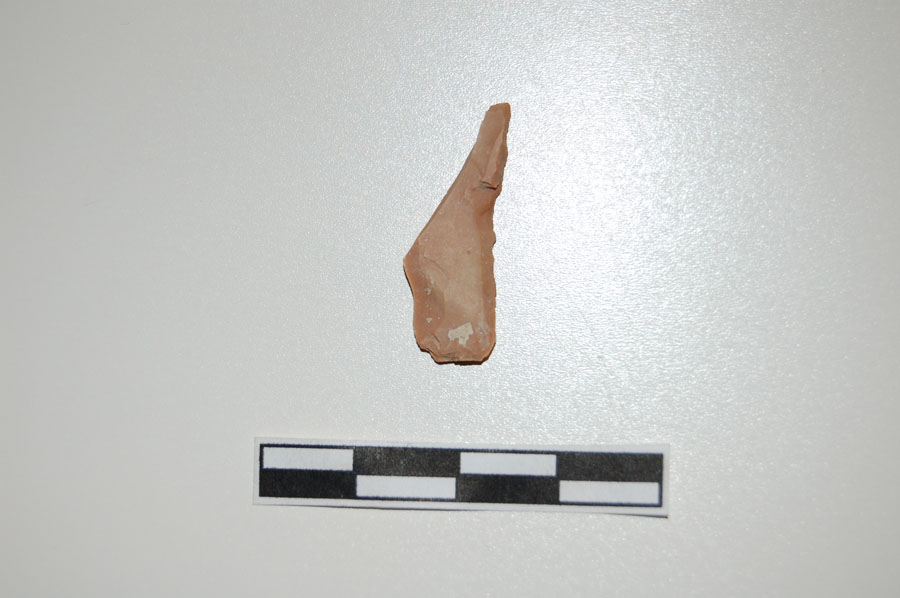 Reperti dalle grotte di Pradis