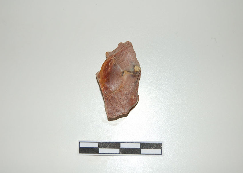 Reperti dalle grotte di Pradis