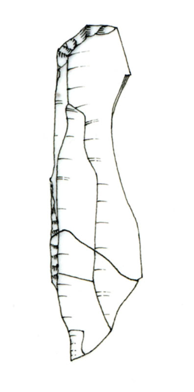 lama/ a dorso e troncatura normale