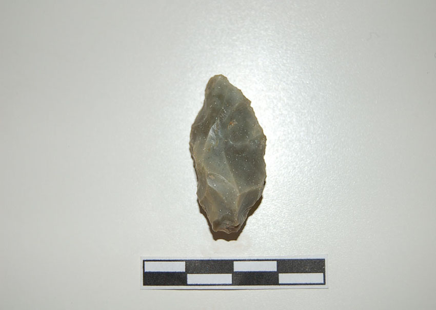 Reperti dalle grotte di Pradis