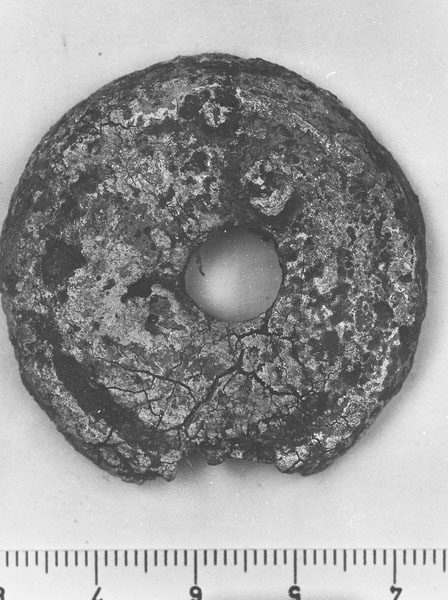 fuseruola/ discoidale