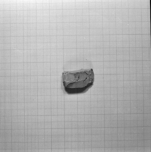 nucleo