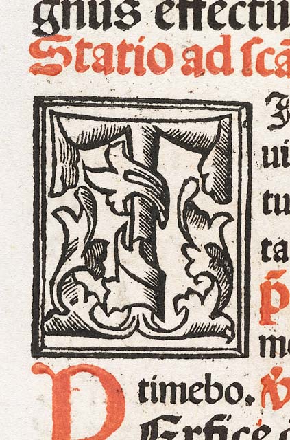 lettera iniziale ornata: T