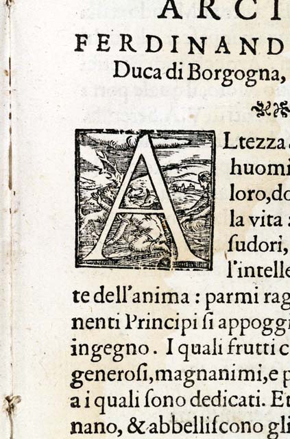 lettera iniziale figurata: A