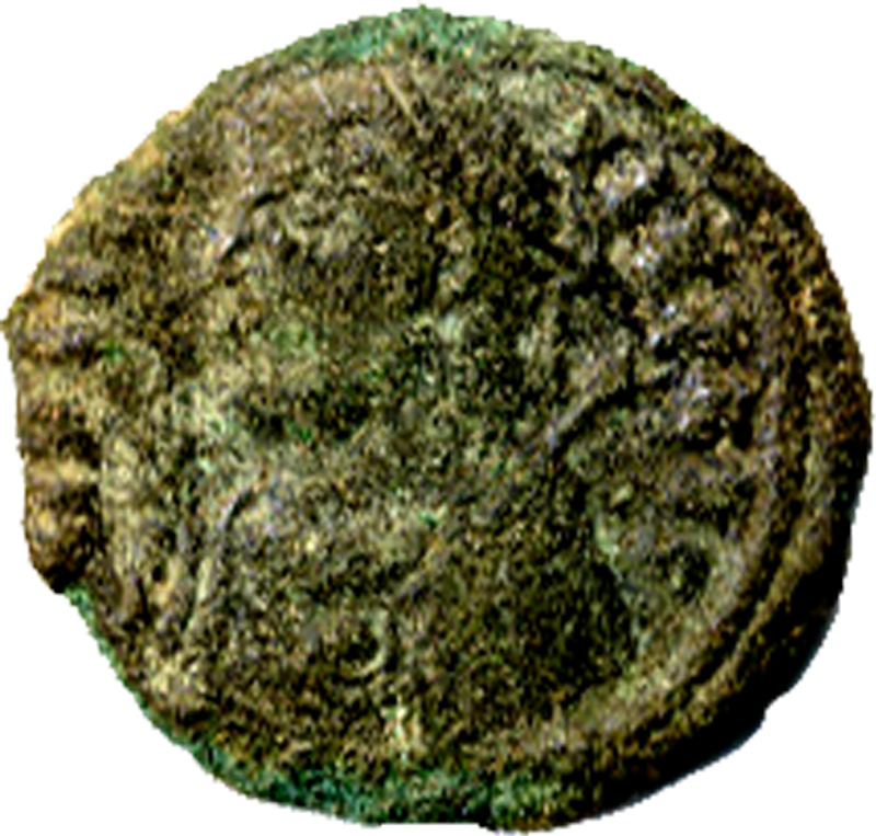 follis