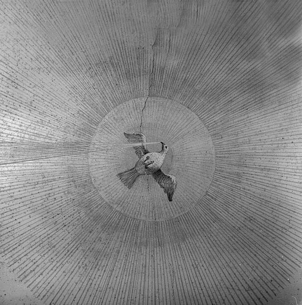 fotografia b/n