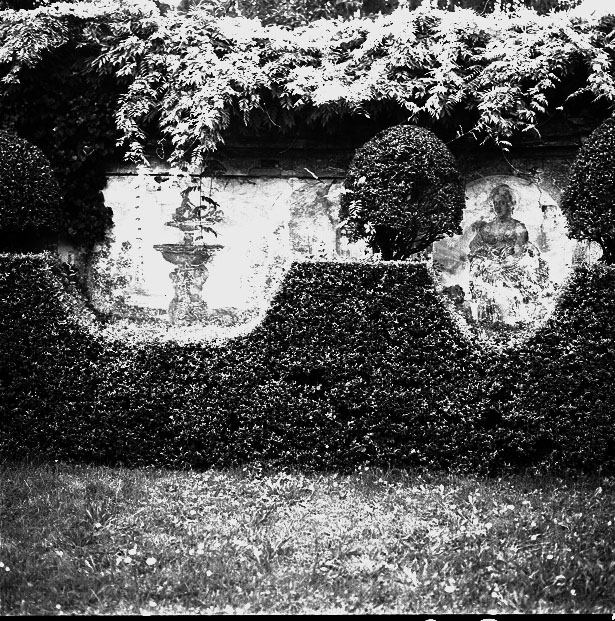 fotografia b/n