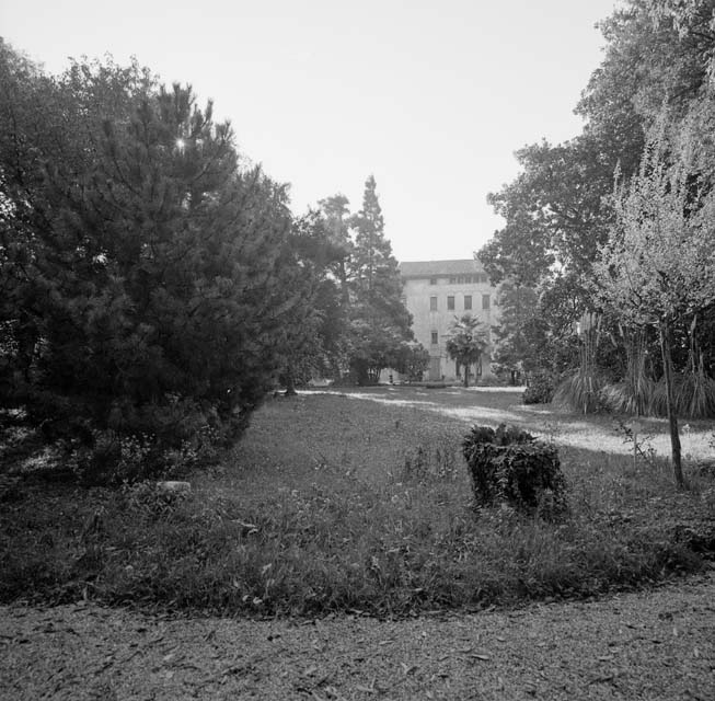 fotografia b/n