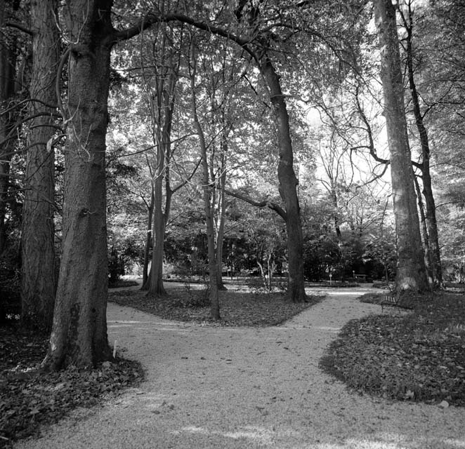 fotografia b/n