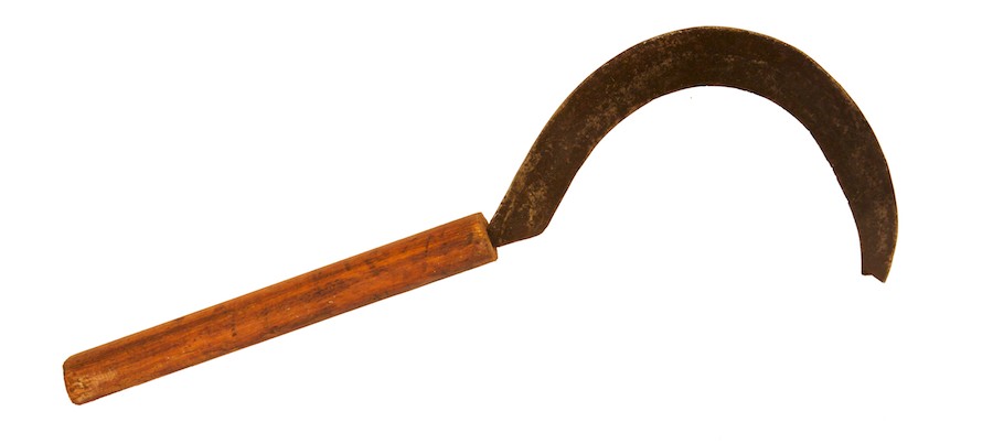 falciola