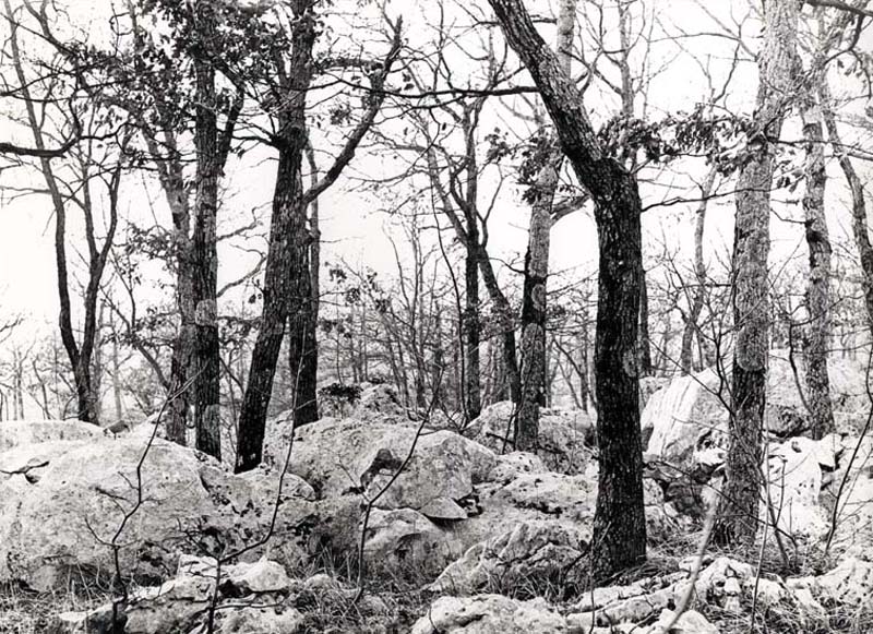 Paesaggio carsico