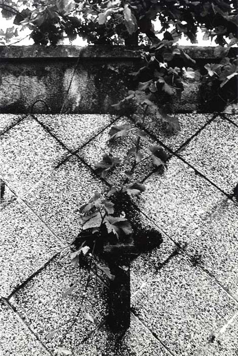 Cimitero di guerra austro-ungarico (1. Guerra Mondiale)