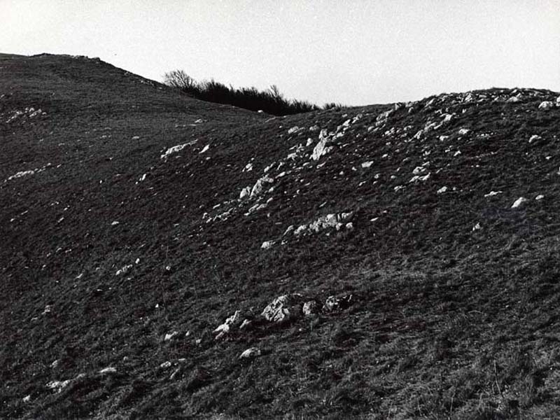 Paesaggio carsico