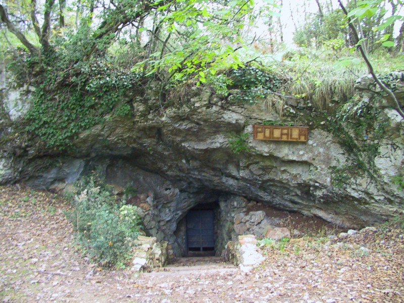 Reperti dalle grotte del Carso triestino