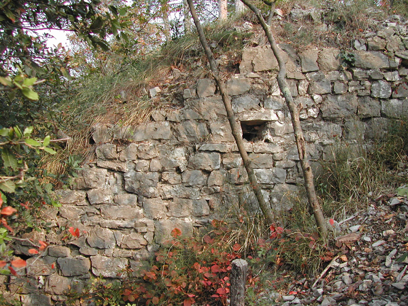 Monumenti e siti archeologi medievali nel territorio triestino