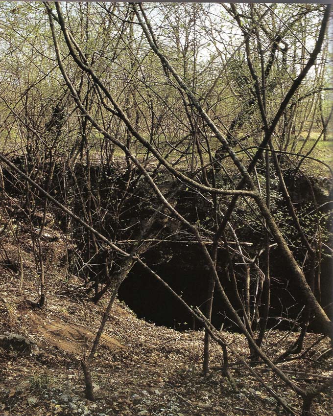 Reperti dalle grotte del Carso triestino