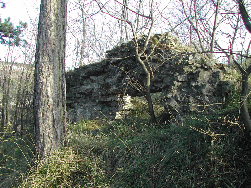 Monumenti e siti archeologi medievali nel territorio triestino