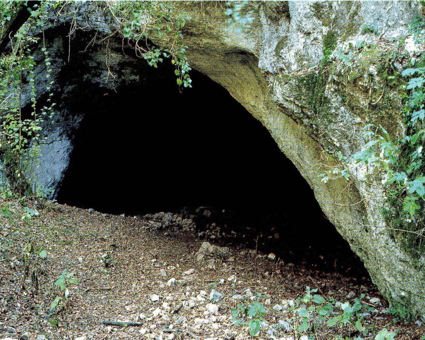 Reperti dalle grotte del Carso triestino