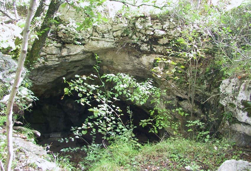 Reperti dalle grotte del Carso triestino