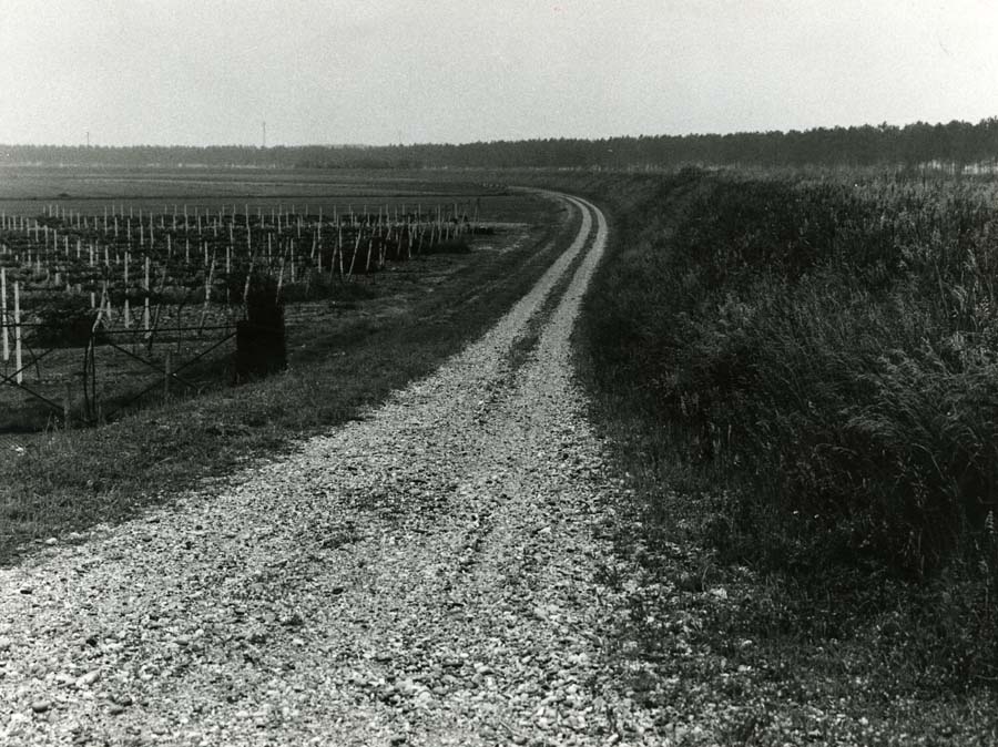 Interventi di difesa del suolo sulla litoranea di Lignano Sabbiadoro