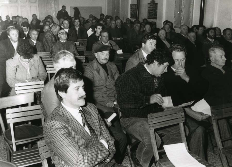 Relazione del Consiglio di Amministrazione dell'Associazione Centro Essicazione Mais a Pavia di Udine