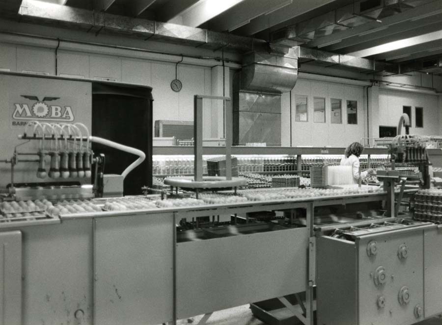Coo.P.A. - Cooperativa fra produttori avicunicoli del Friuli-Venezia Giulia