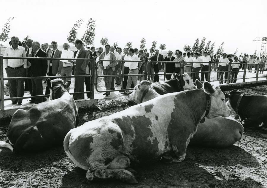 Visita del Presidente della Giunta Regionale Adriano Biasutti all'Azienda Agricola Marianis di Palazzolo dello Stella