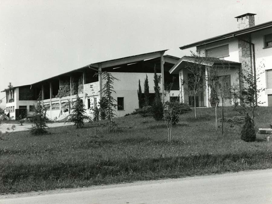Azienda Agricola Fratelli Del Fabbro a Nogaredo di Prato a Martignacco