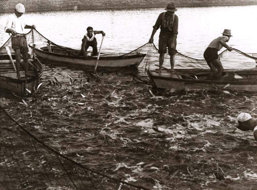 Pecatori della laguna di Grado