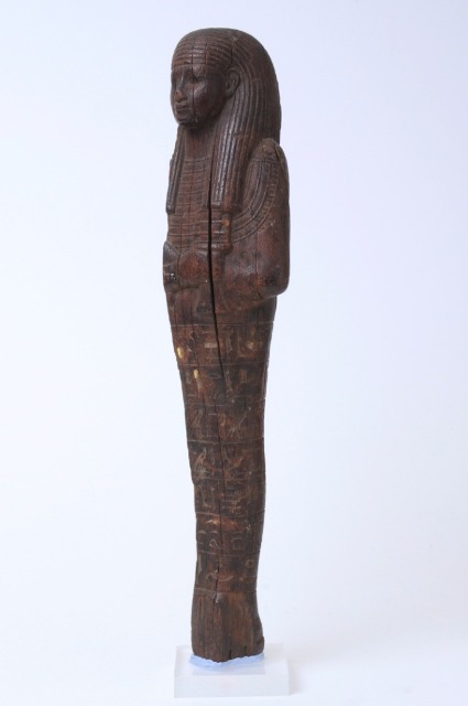 Vasi Canopi