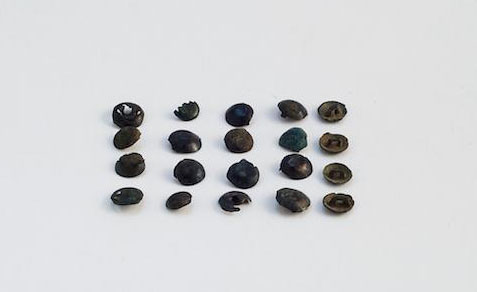 Il castelliere di San Canziano