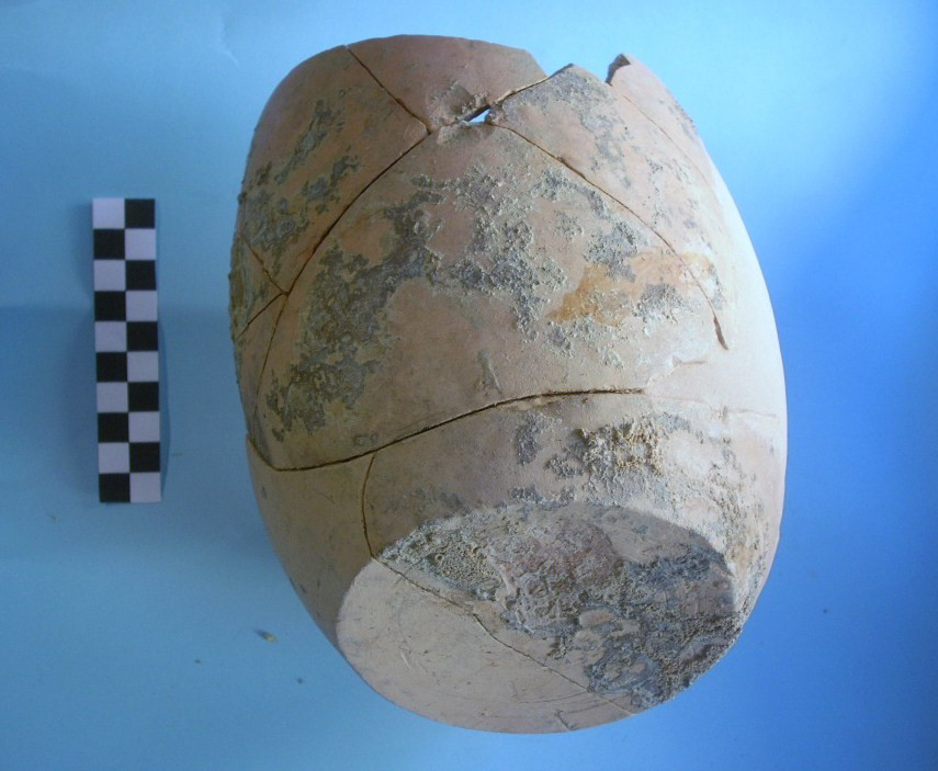 olla