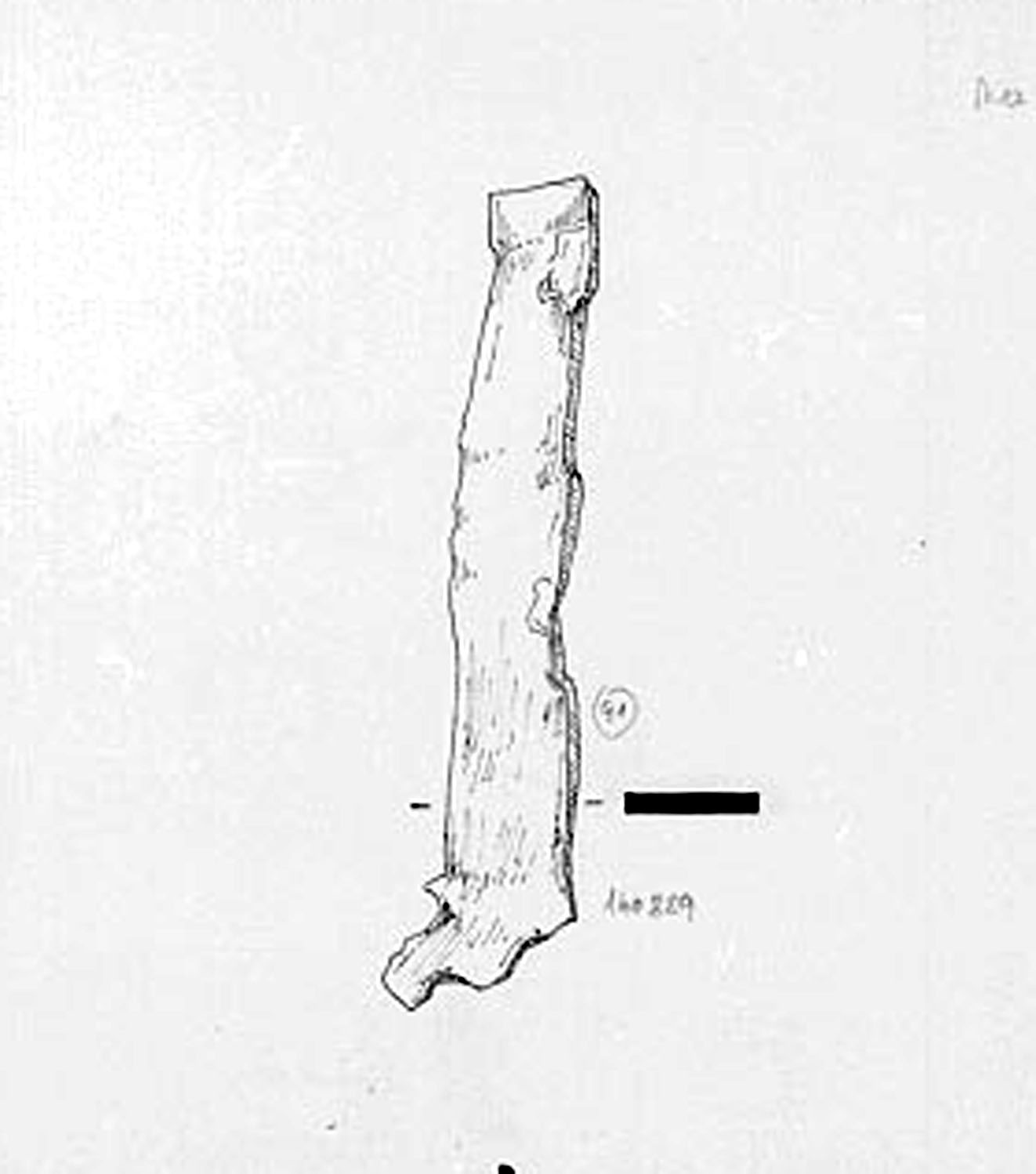 oggetto non identificato