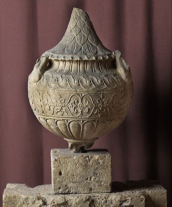 pseudourna/ cineraria