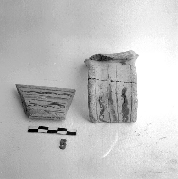 orcio/ ansa a nastro