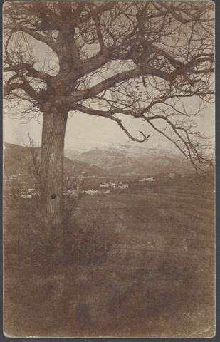 Fotografie dello studio Bront