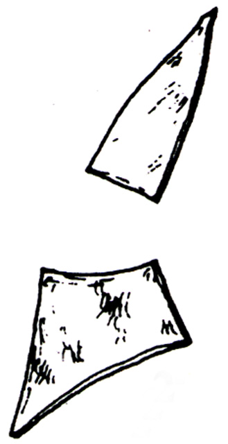 recipiente/ frammenti