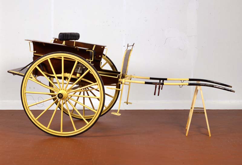 Carrozza per bambini