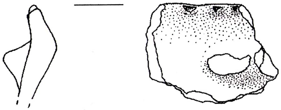 olla/ frammento