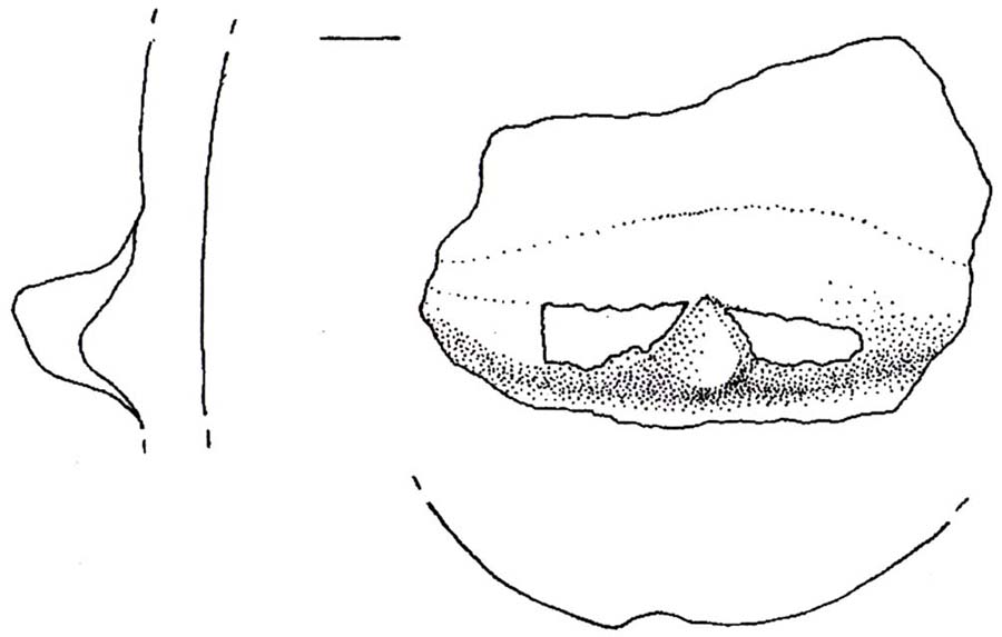 recipiente/ presa, a linguetta