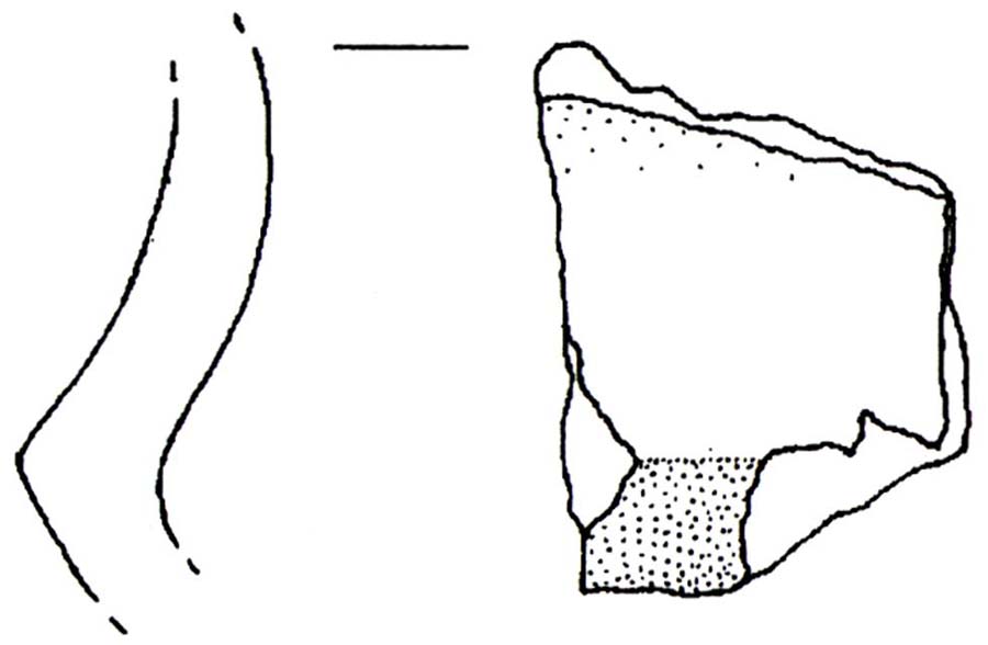 tazza/ carenata, frammento