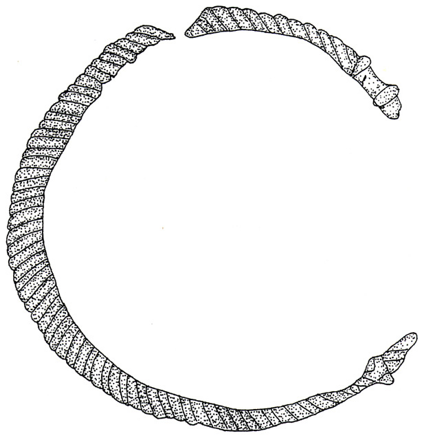 bracciale
