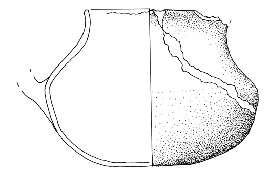 tazza/ carenata