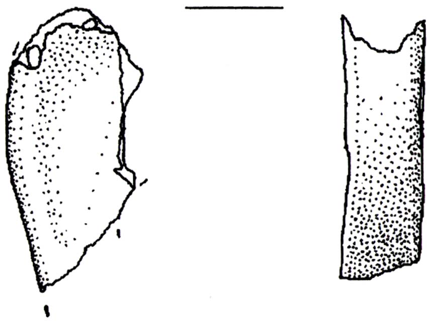 recipiente/ ansa, a nastro